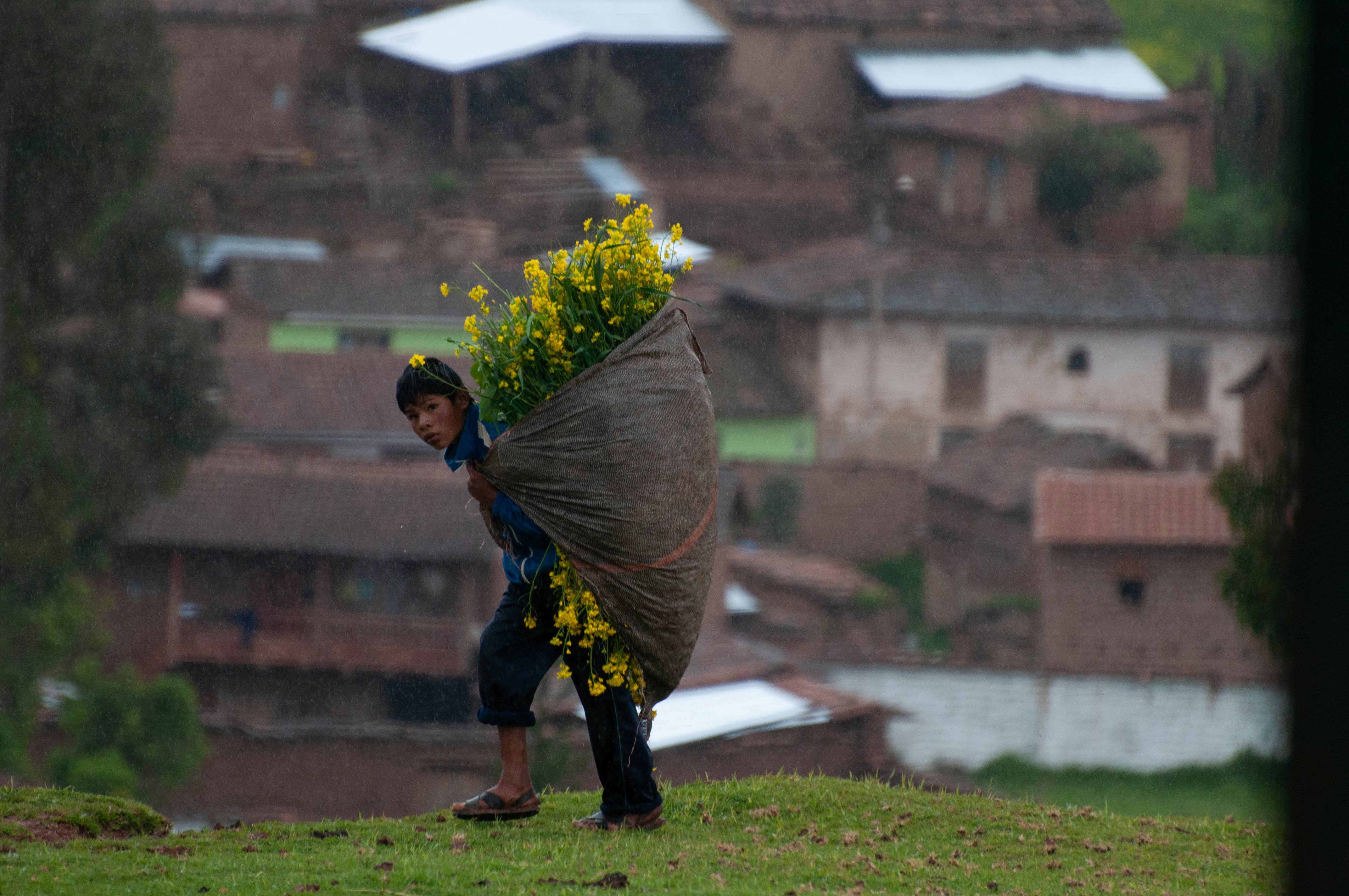 गांव में धूमधाम से मनाए जा रहे जश्न की तस्वीर, जिसमें युवा को फूलों की माला पहनाई जा रही है।