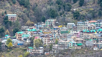 a large group of houses on a mountain side