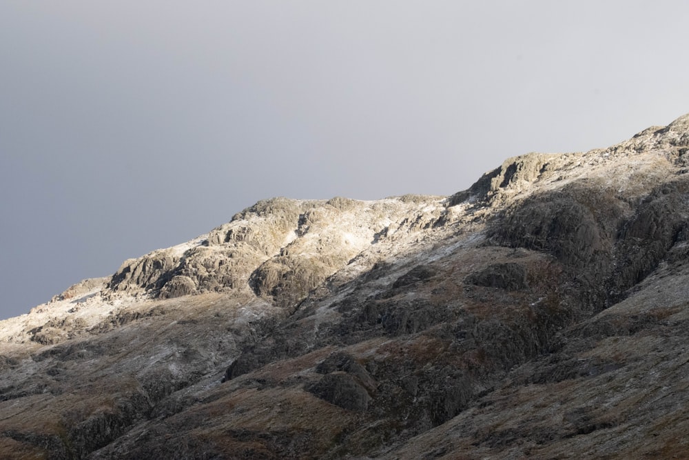 a snow covered mountain with a bird flying over it