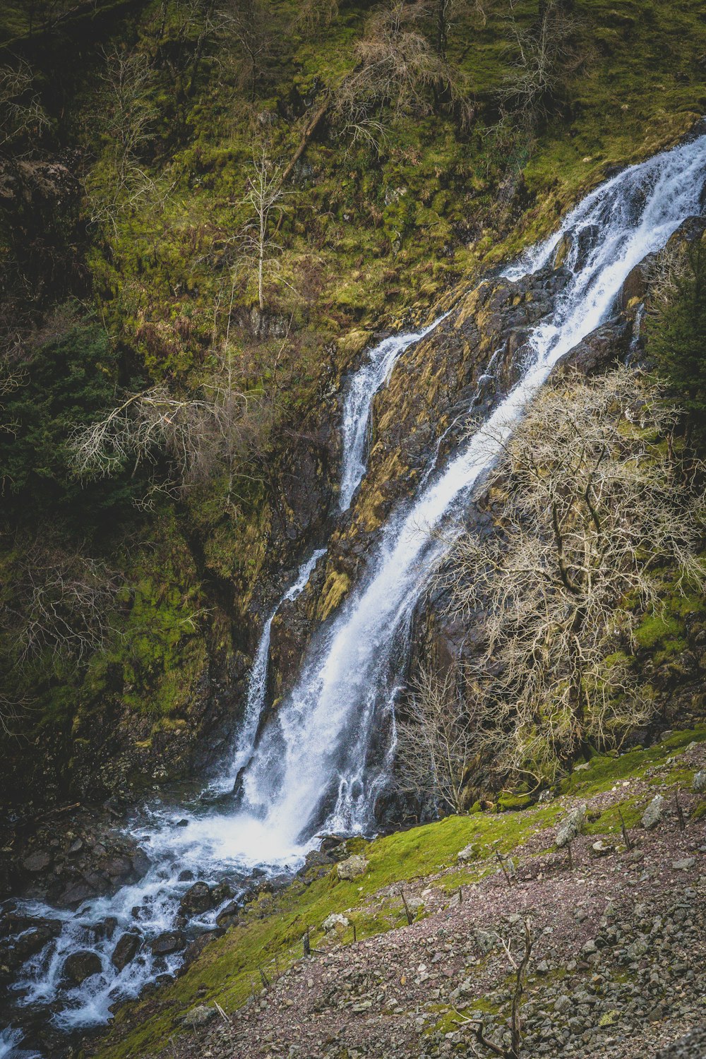 a waterfall in the middle of a forest