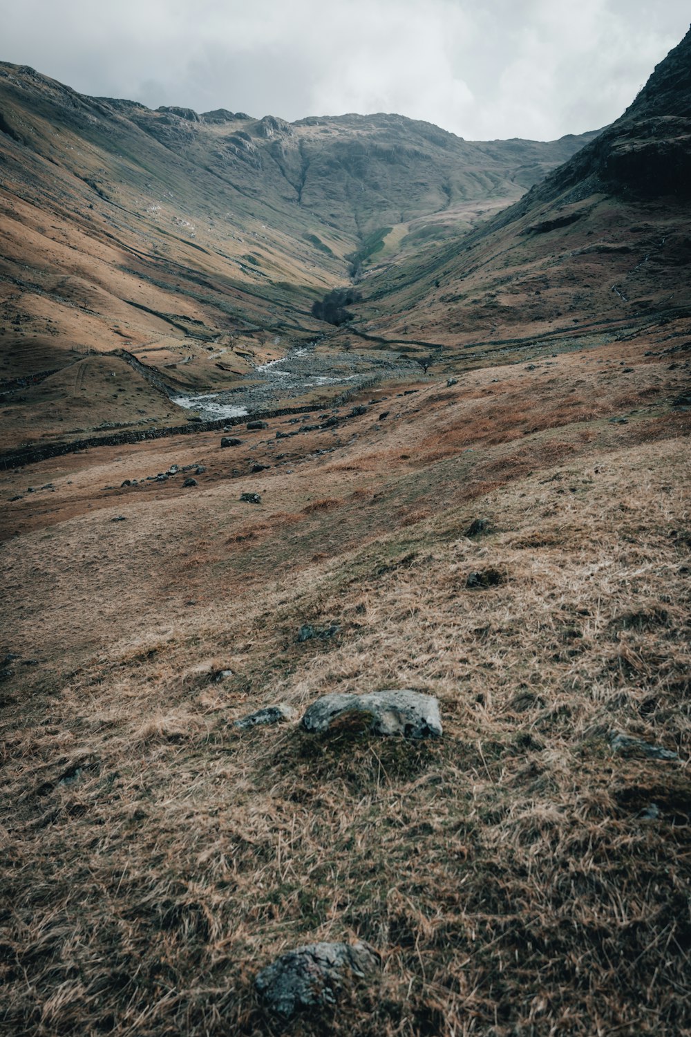 a grassy hill with a stream running through it