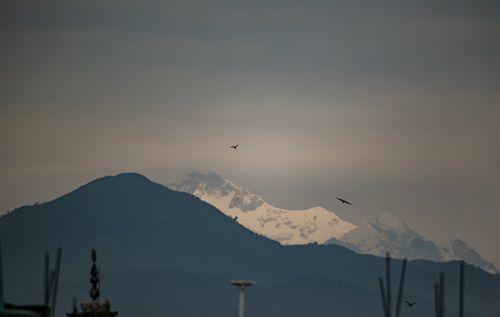 una vista di una montagna con un uccello che vola sopra di essa