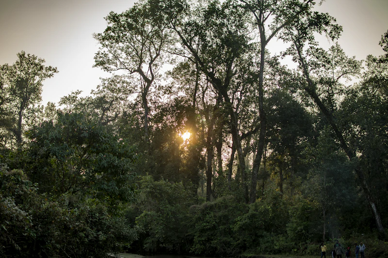 Best Places to Visit in Jalpaiguri: The Only List You Actually Need