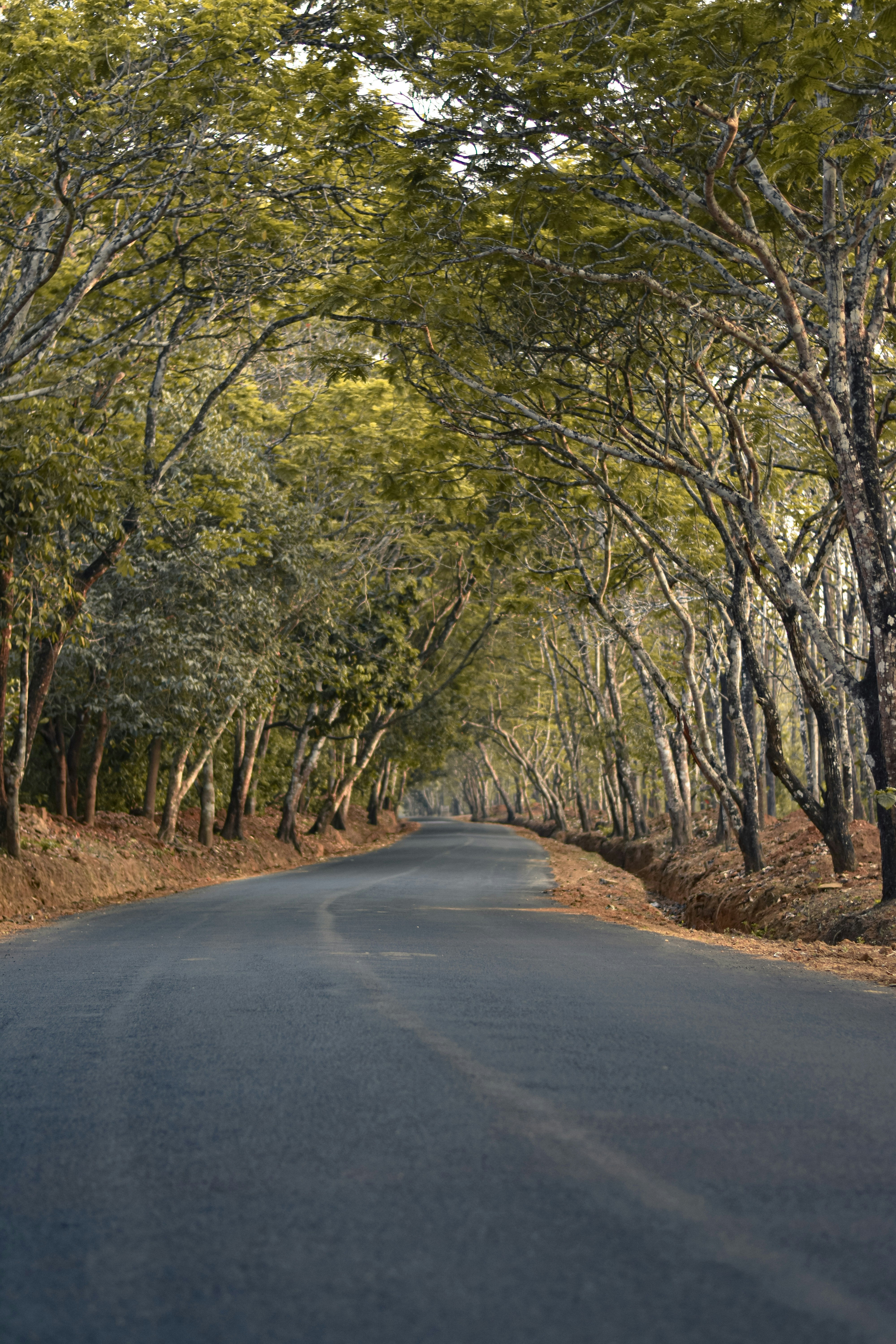 Photo by chandanshastri