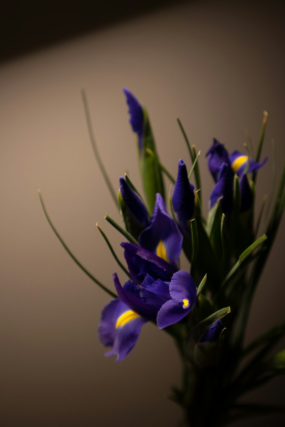 a vase filled with purple flowers on top of a table