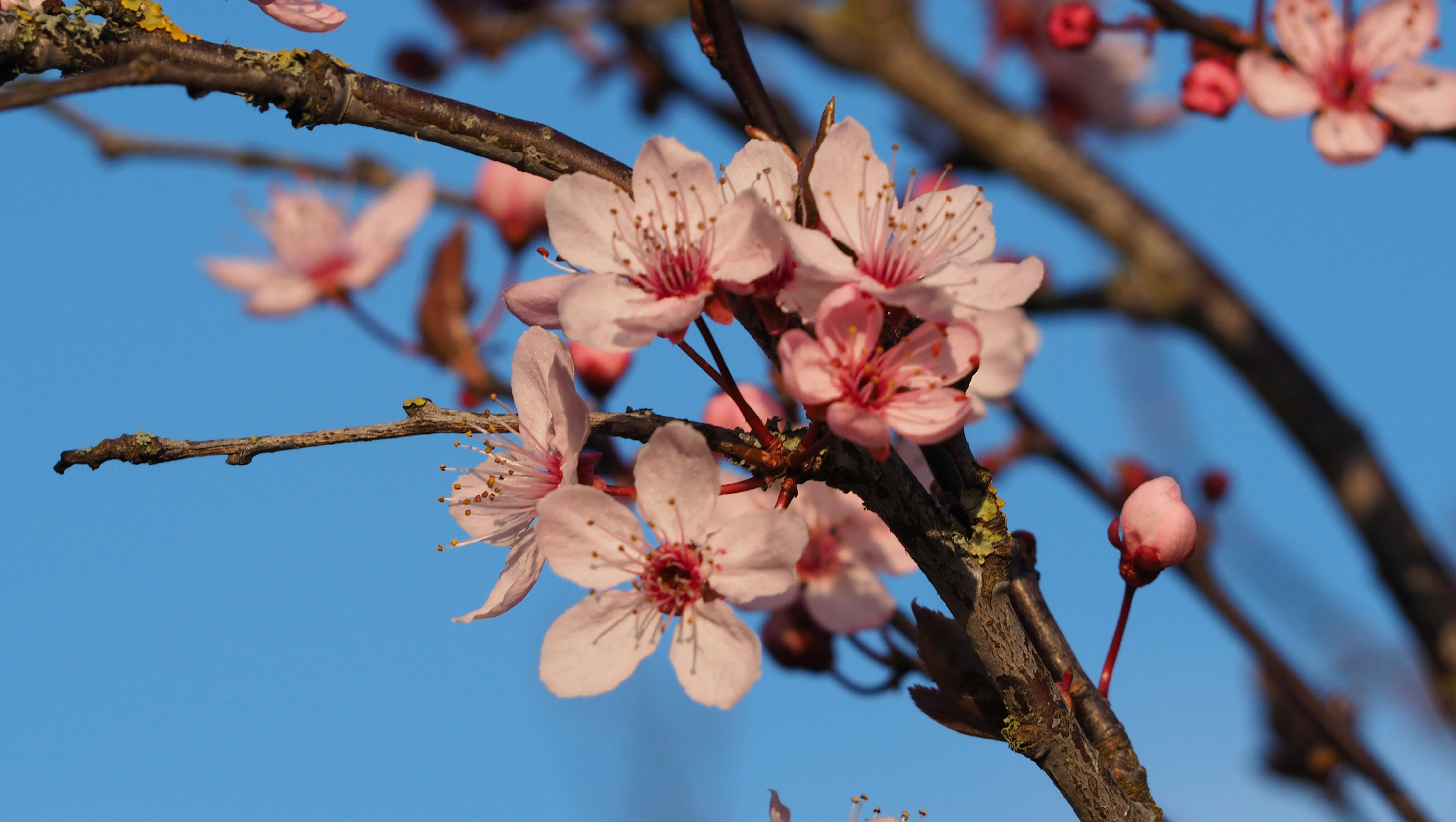 Photo by max_payload