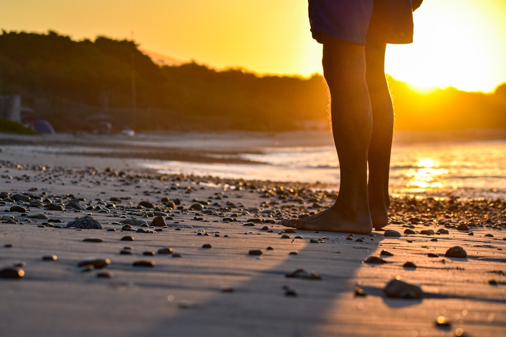 a person standing on a beach at sunset