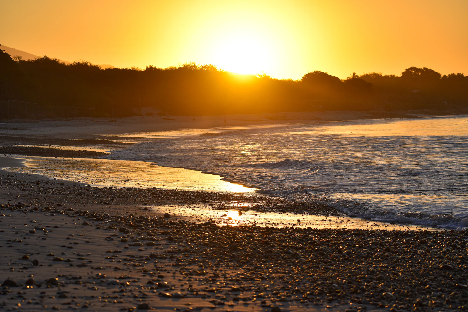The St. Regis Punta Mita Resort