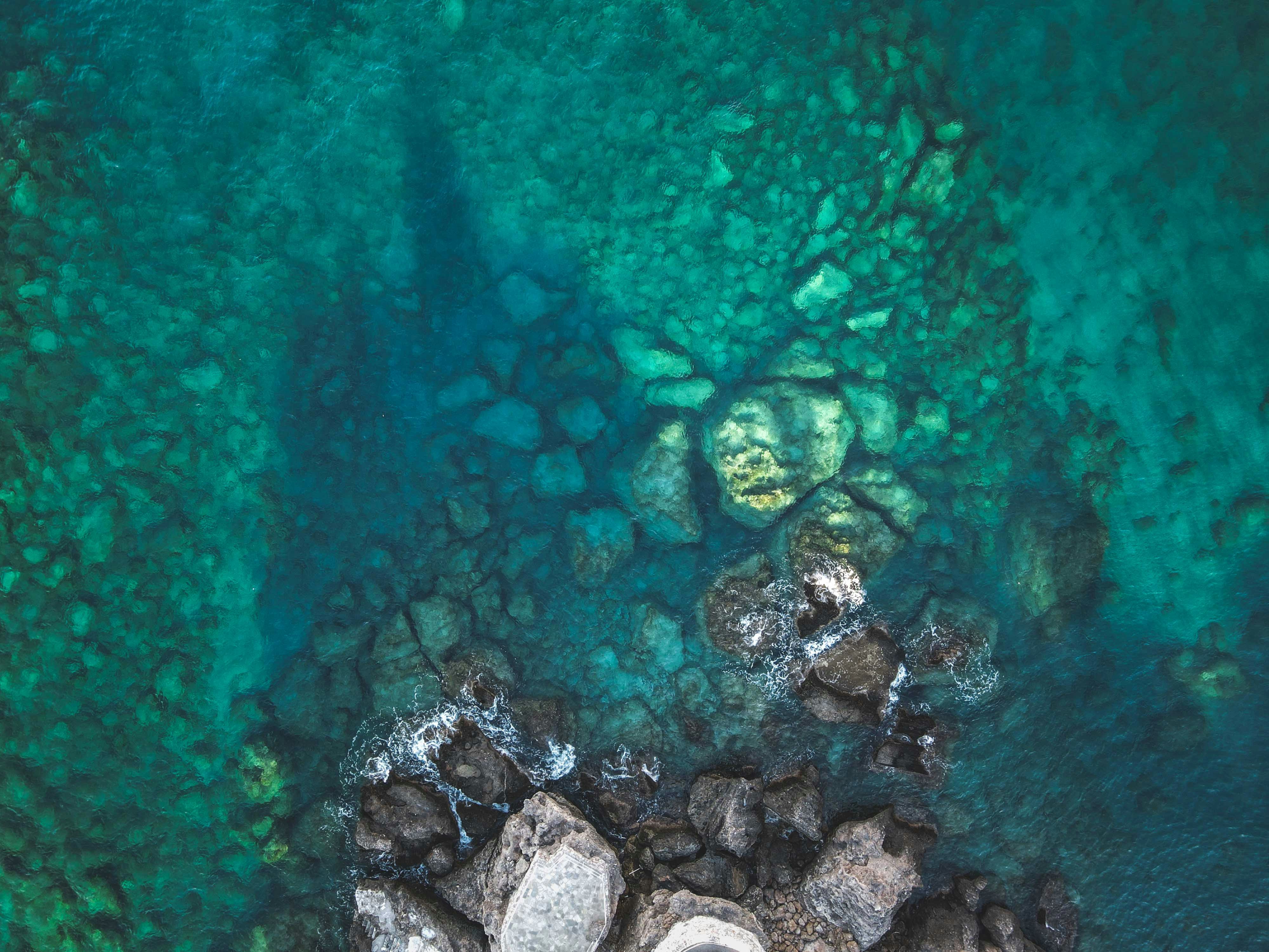 Photo by francesco_ungaro