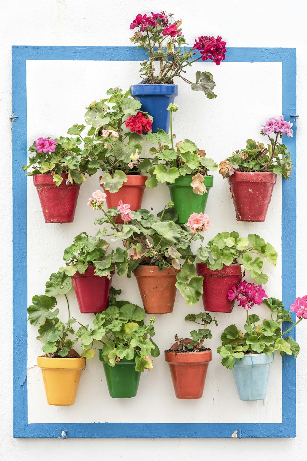 a bunch of potted plants are hanging on a wall