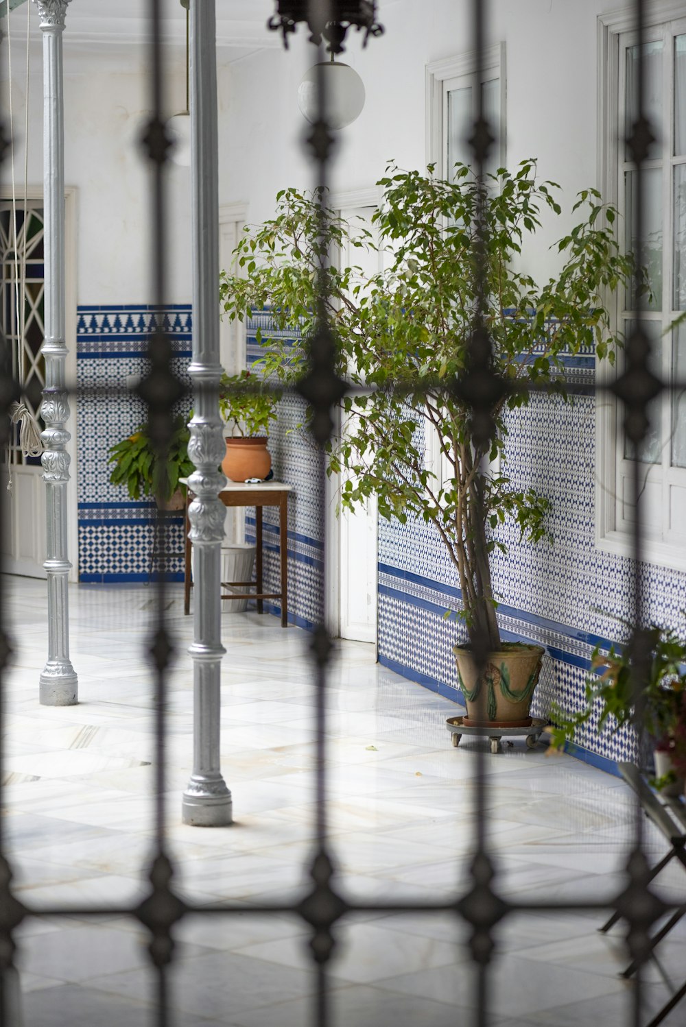 a potted plant sitting on top of a tiled floor