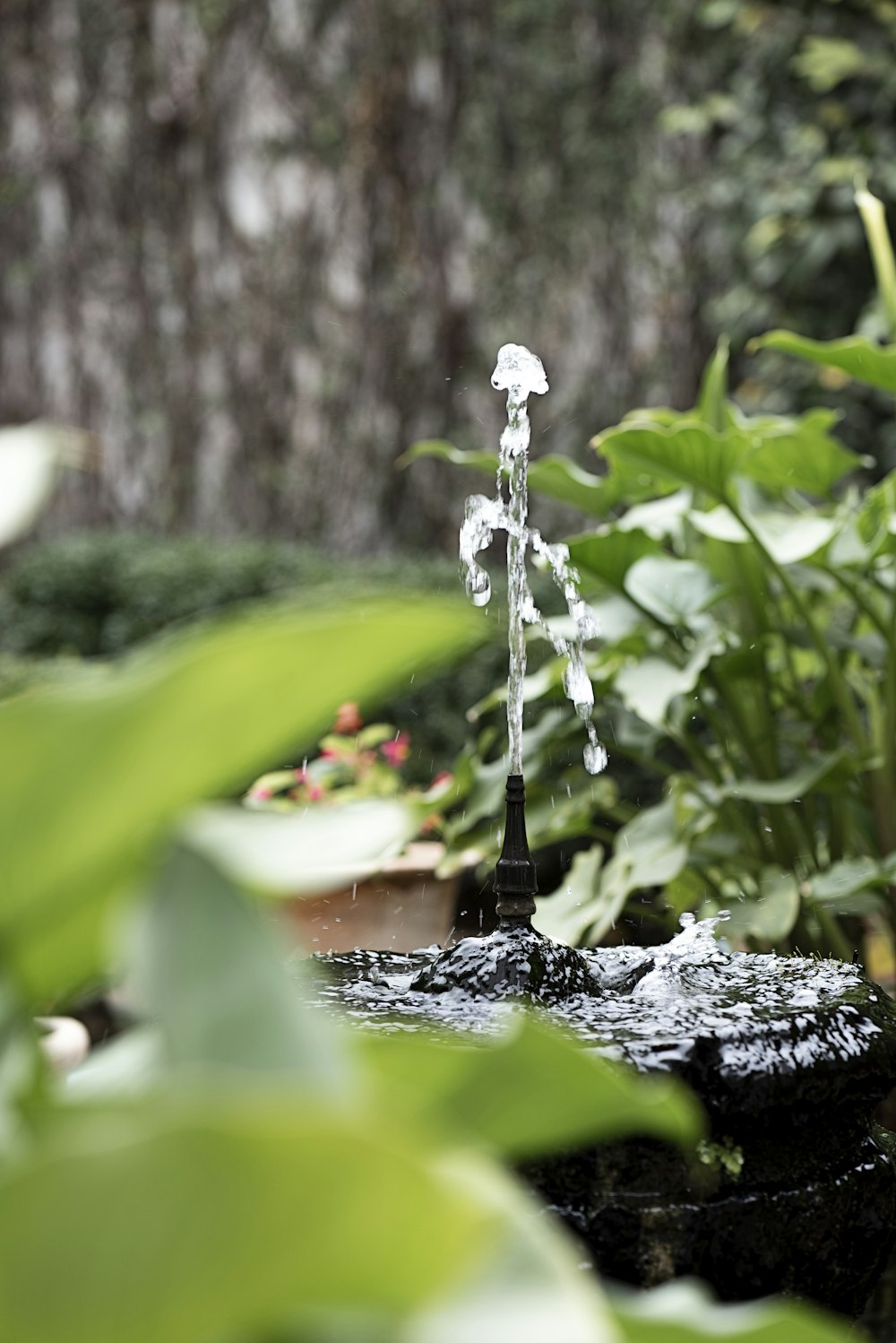 a water fountain in the middle of a garden