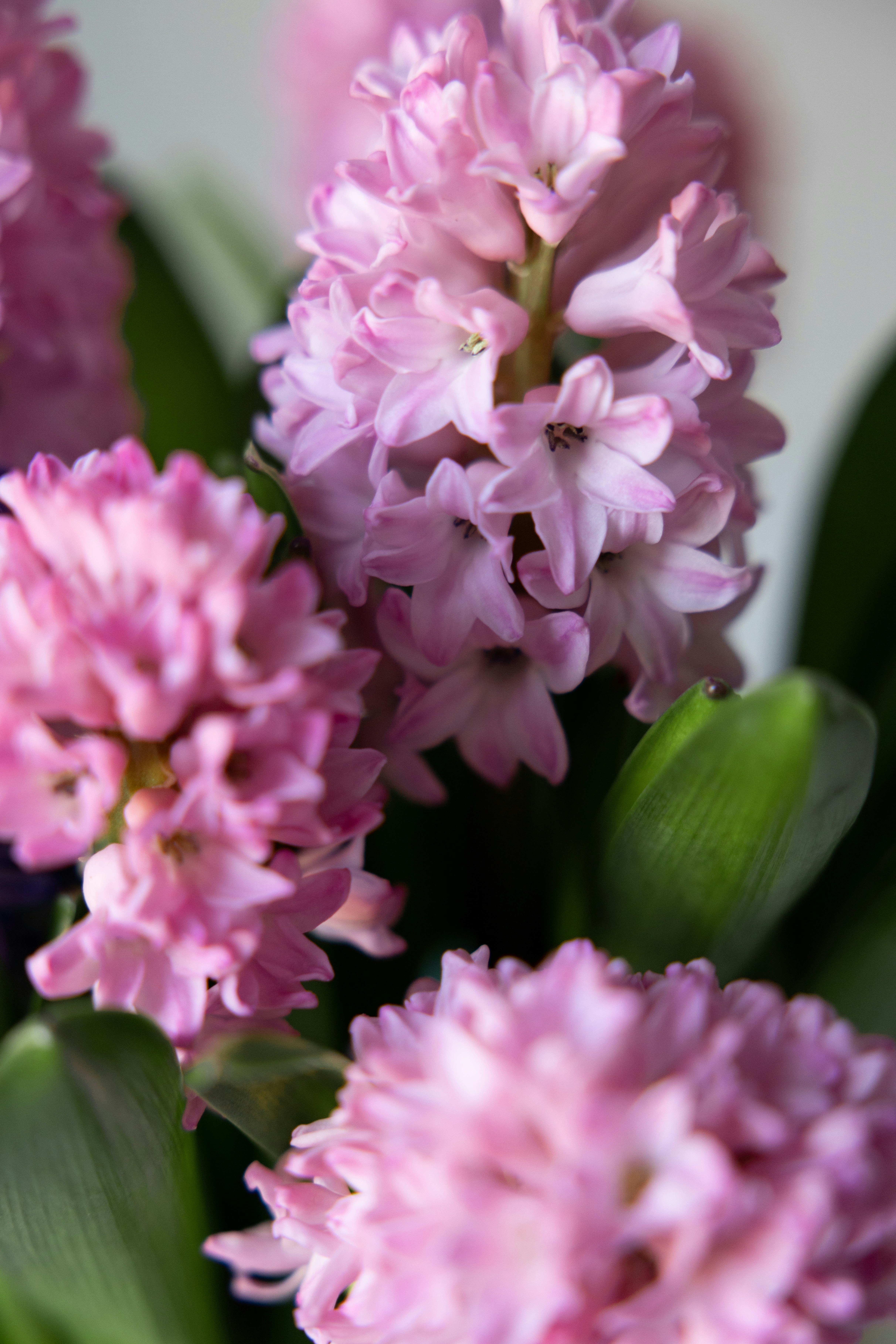 Photo by filipp_roman_photography