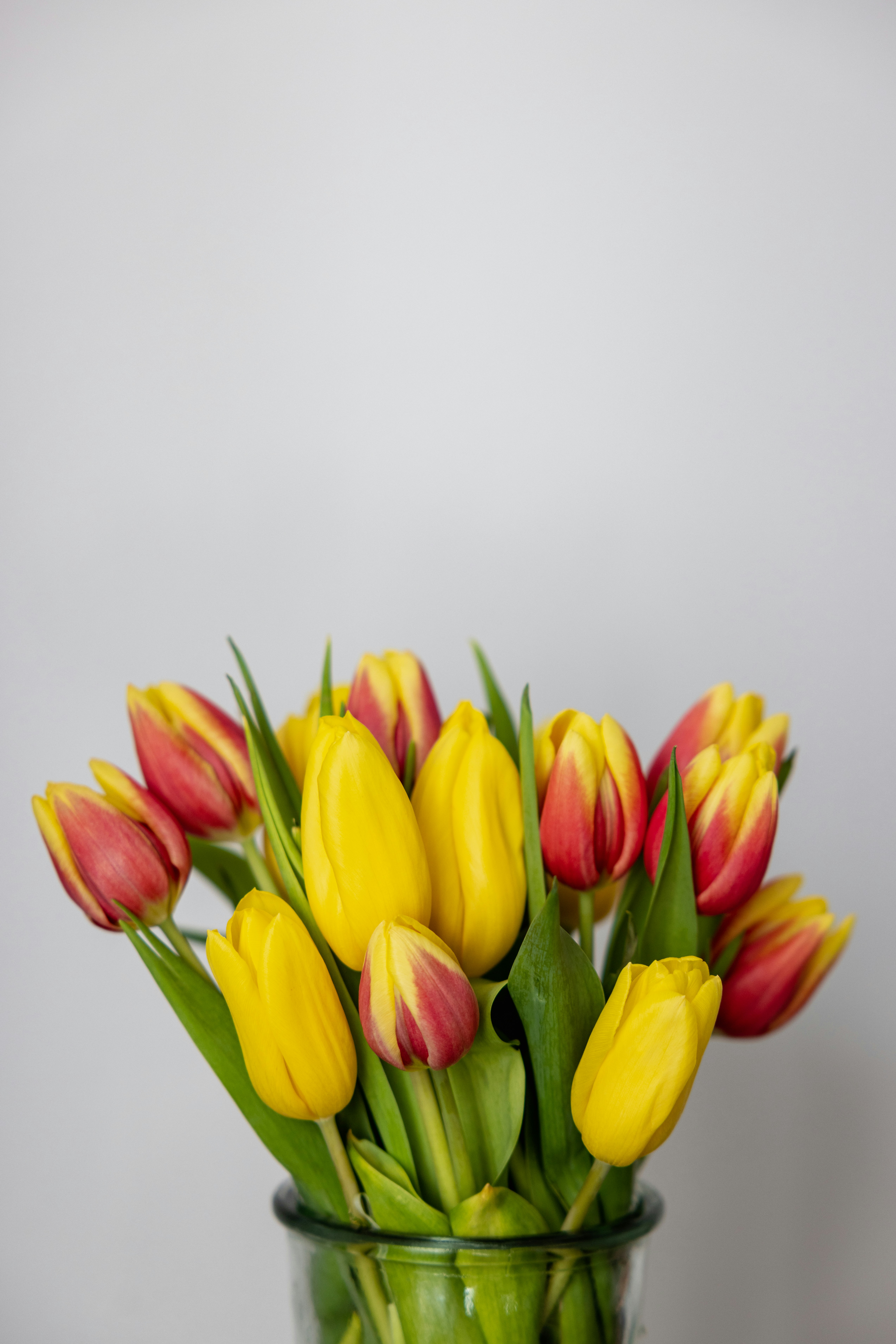 Photo by filipp_roman_photography