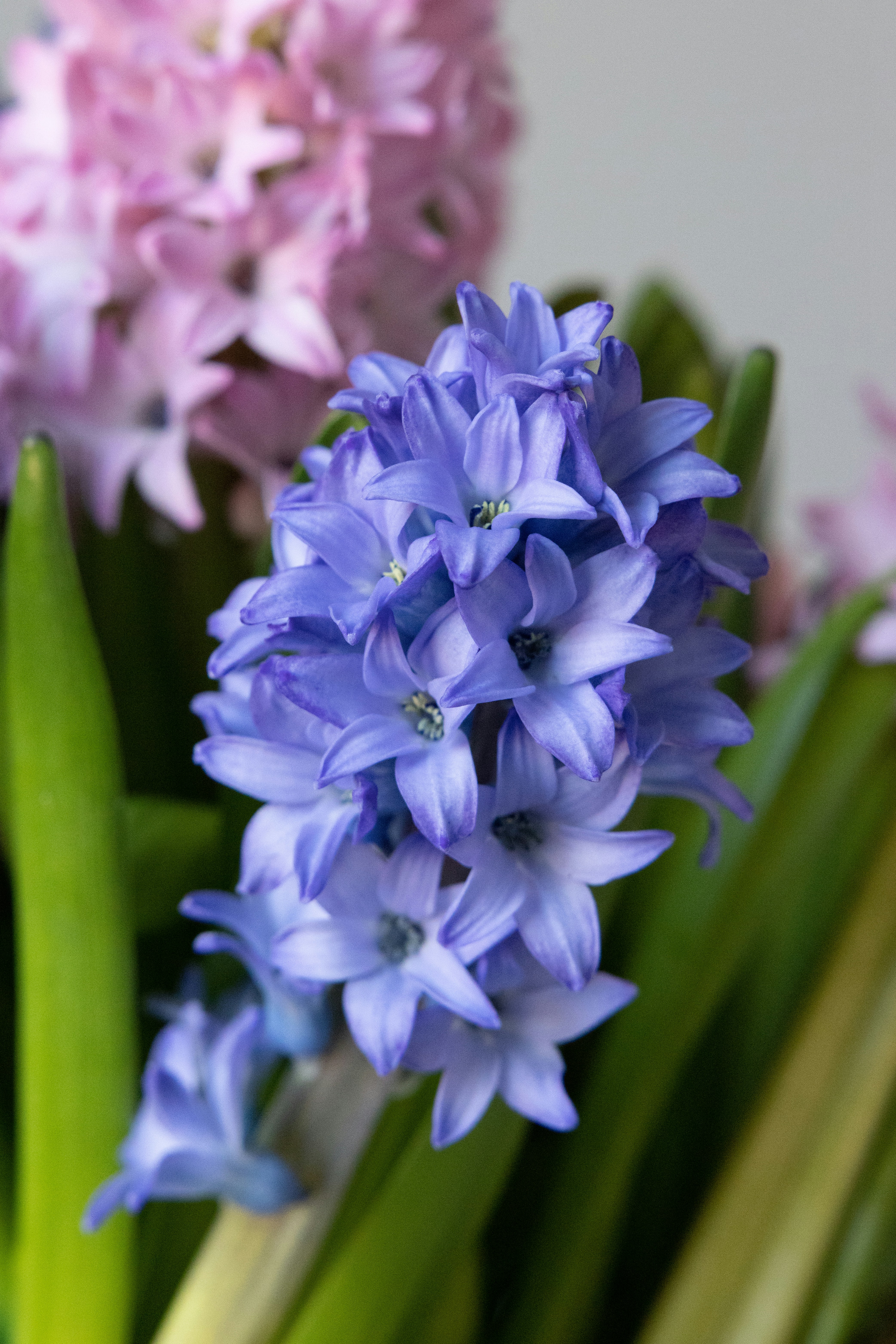 Photo by filipp_roman_photography