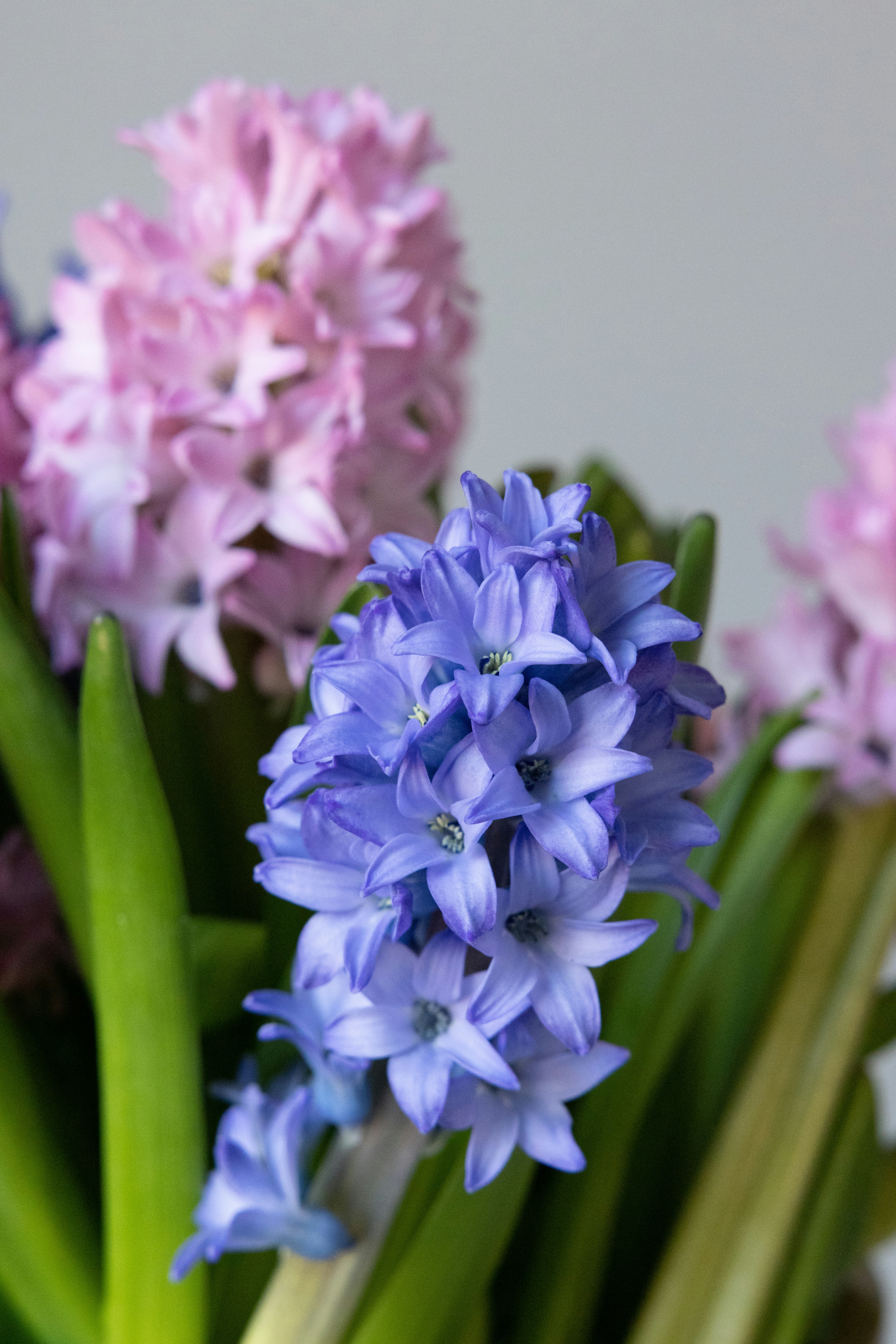 Photo by filipp_roman_photography