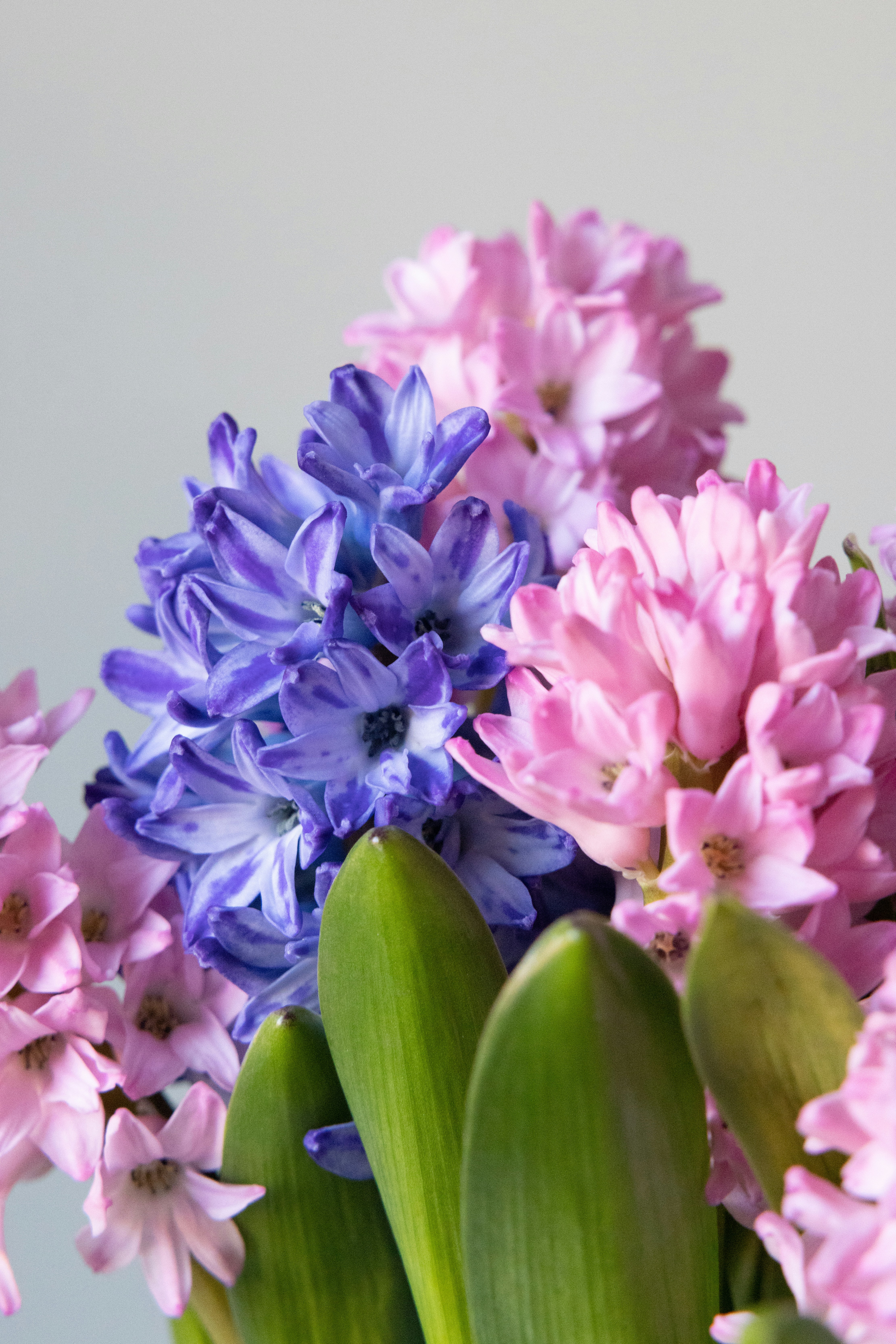 Photo by filipp_roman_photography