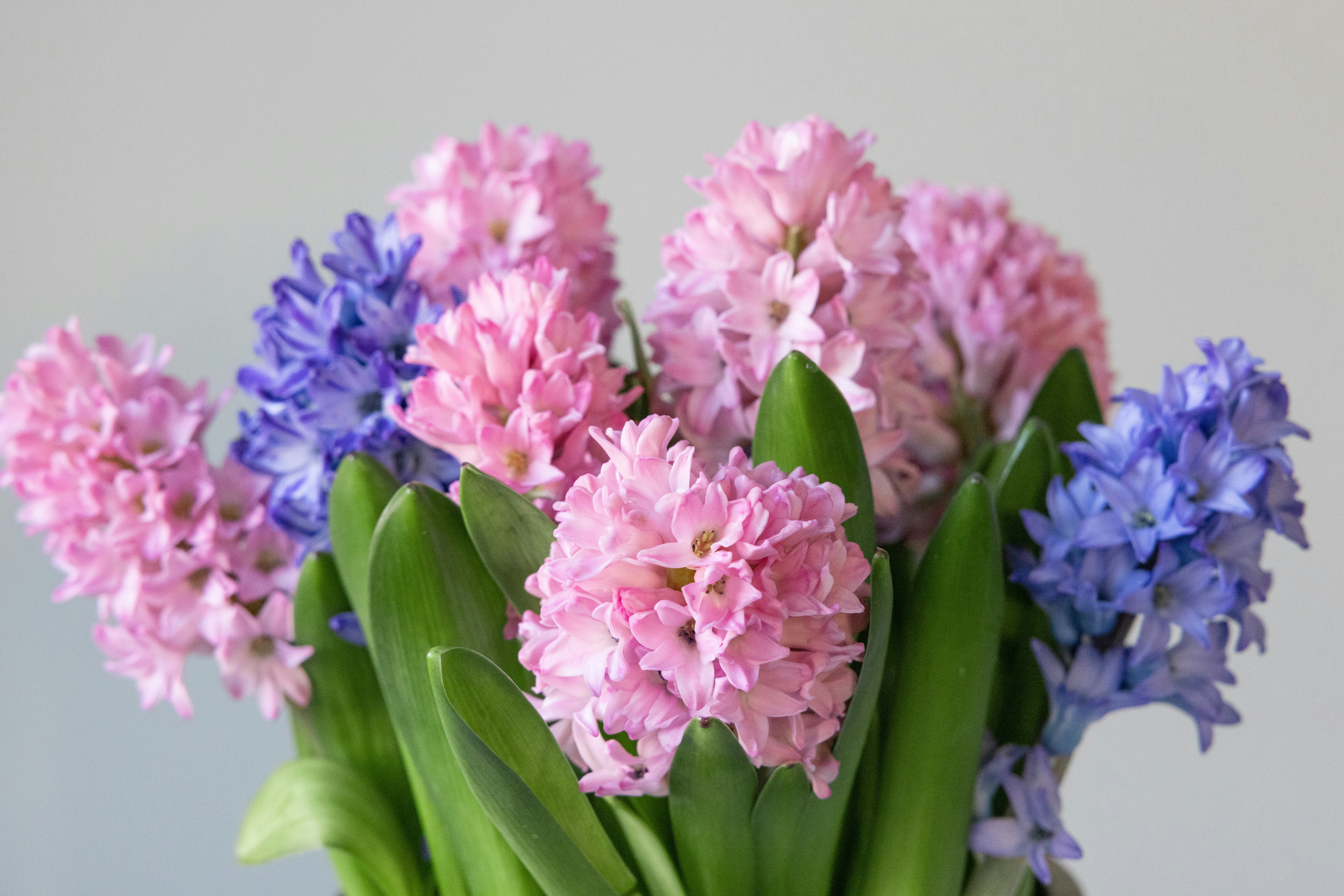 Photo by filipp_roman_photography