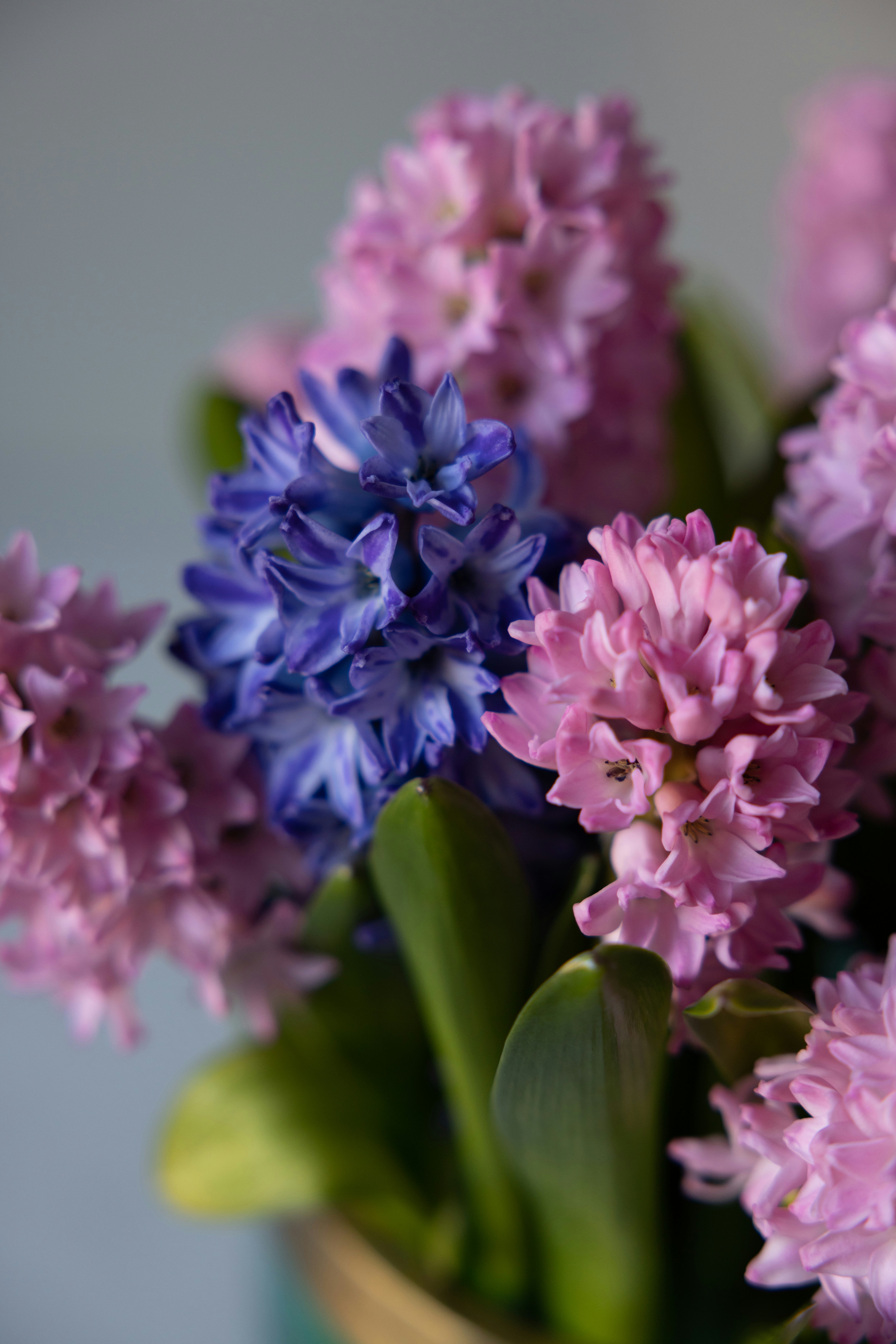 Photo by filipp_roman_photography