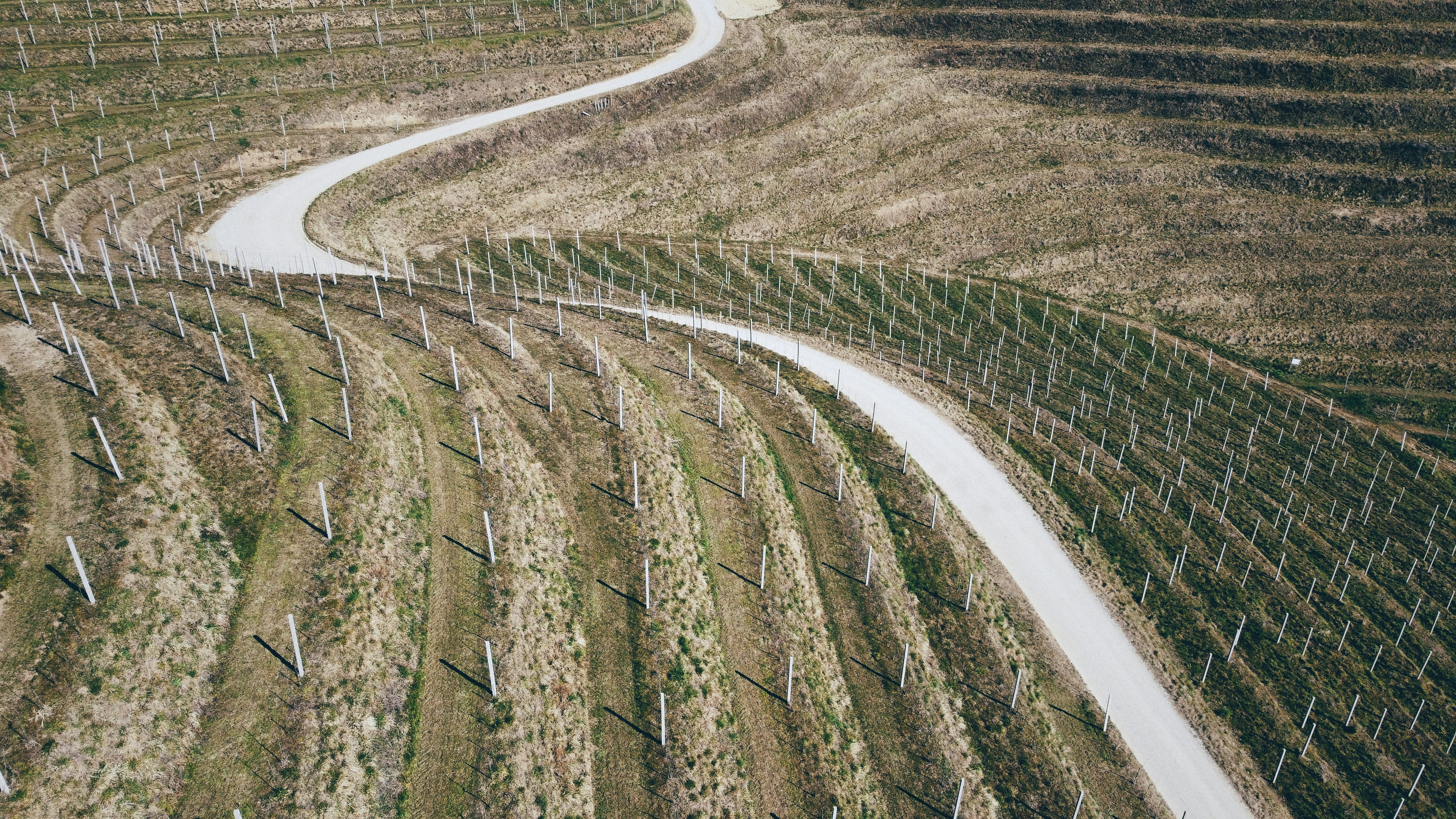 Photo by johnfdillinger