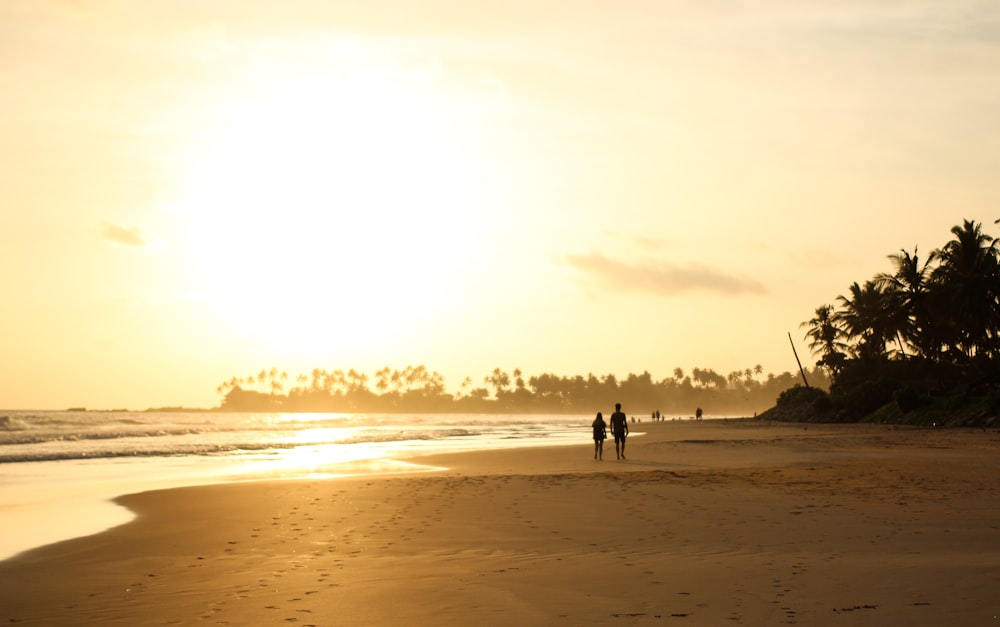 a couple of people standing on top of a sandy beach