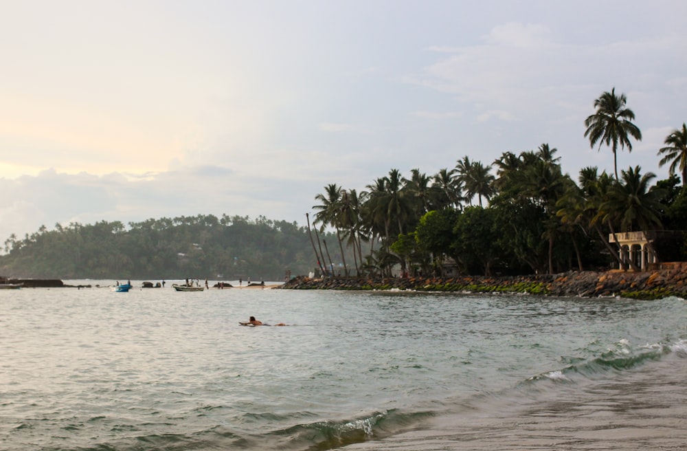 a beach with people swimming in the water and palm trees in the background