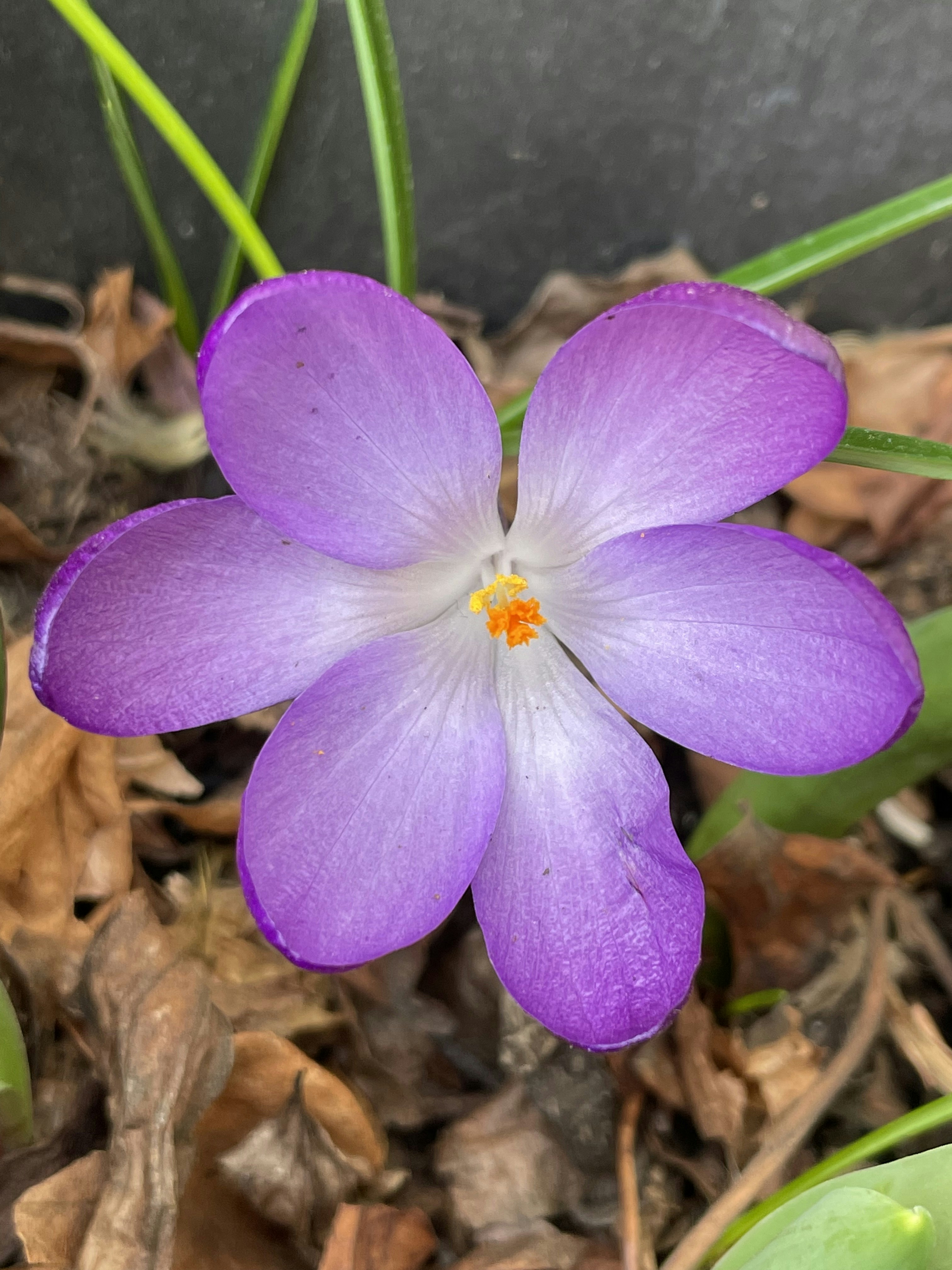 Photo by hdbernd