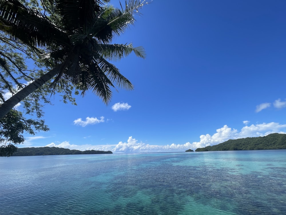 a view of the ocean from a boat