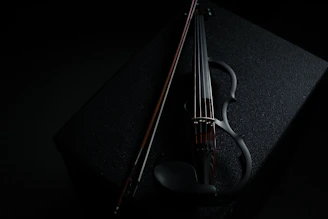 a violin sitting on top of a black box