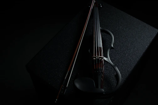 a violin sitting on top of a black box