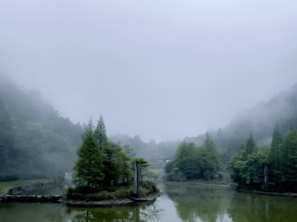 a body of water surrounded by trees and fog