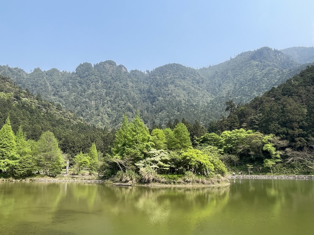 un plan d’eau entouré de montagnes et d’arbres