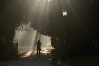 a person walking down a path in the sun