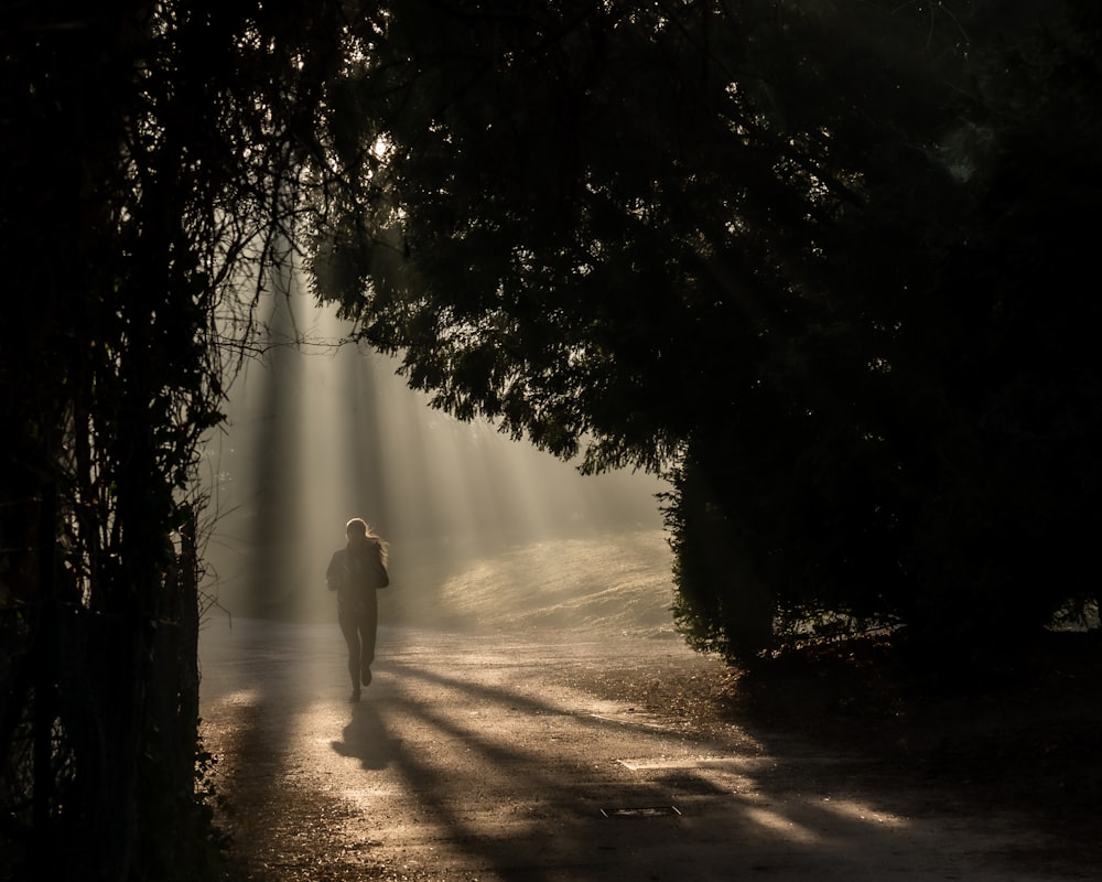 a person walking down a path in the middle of a forest