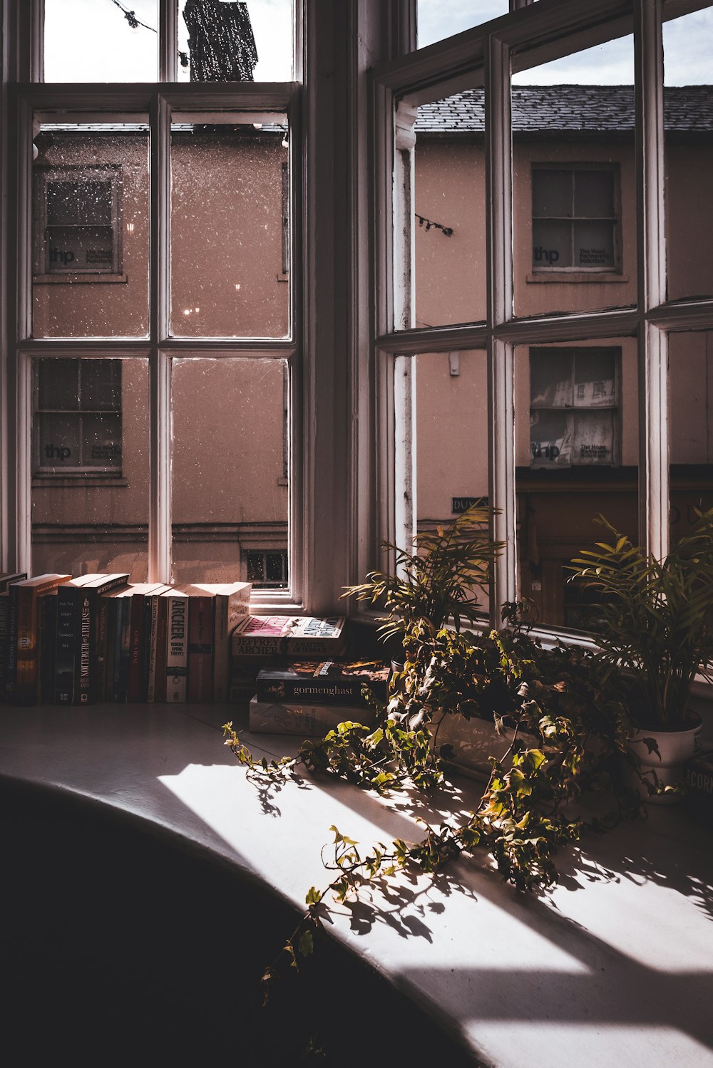 a room with a large window and a plant in the corner