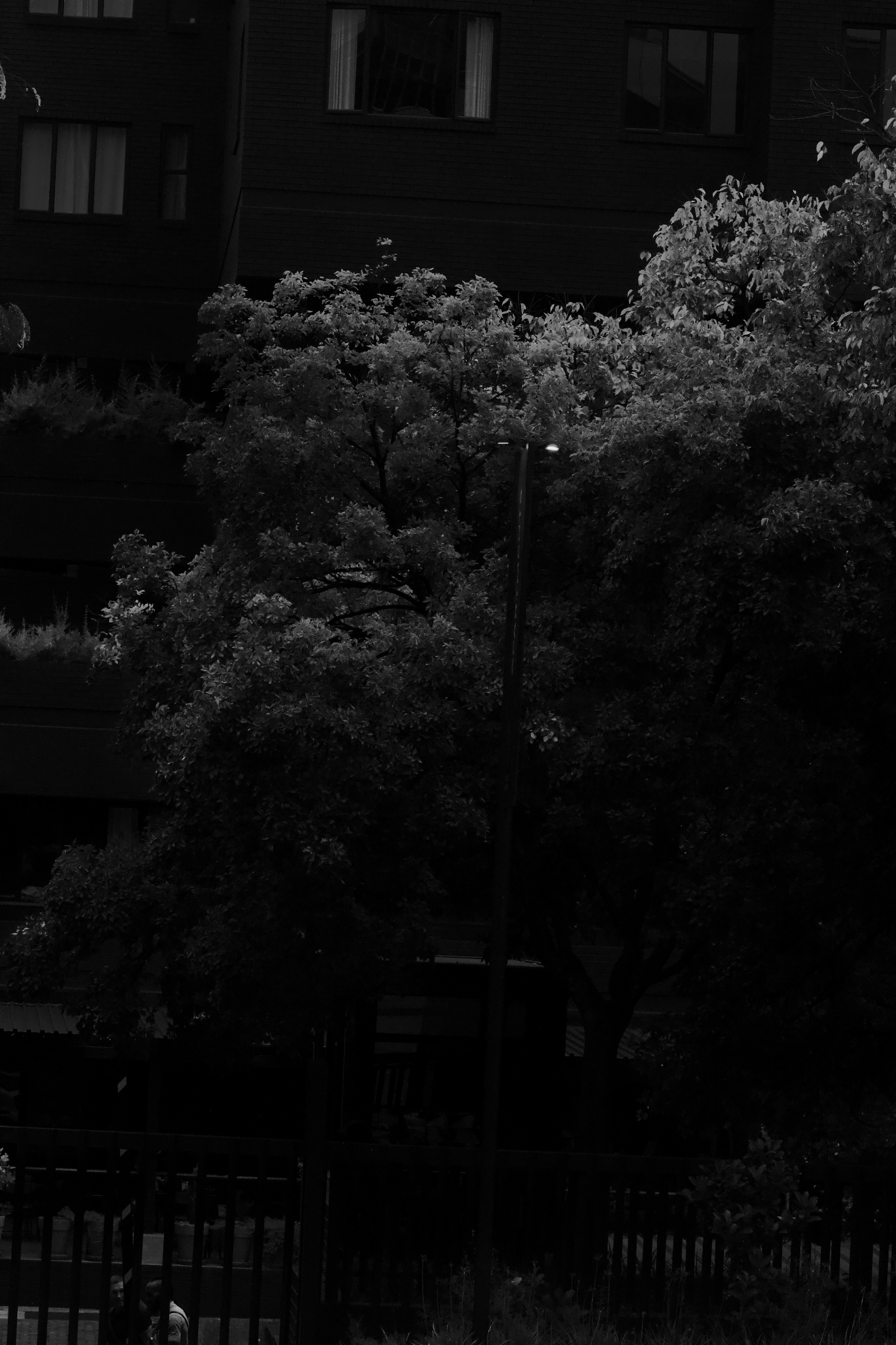 Photo by filmmakerandrea6