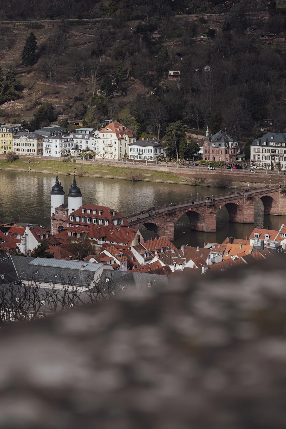 Puente antiguo sobre el río y tejados de Heidelberg