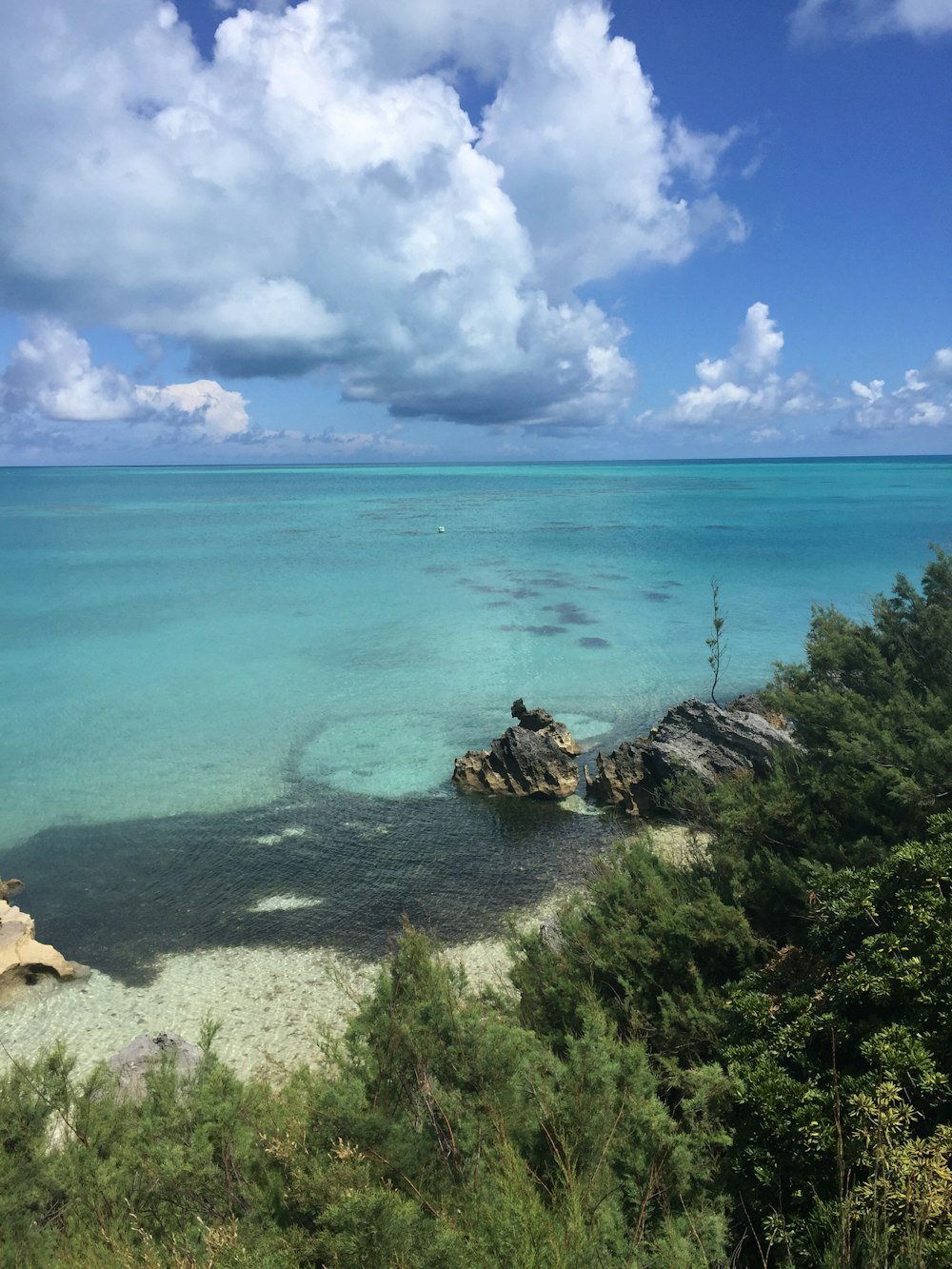 a view of the ocean from the top of a hill