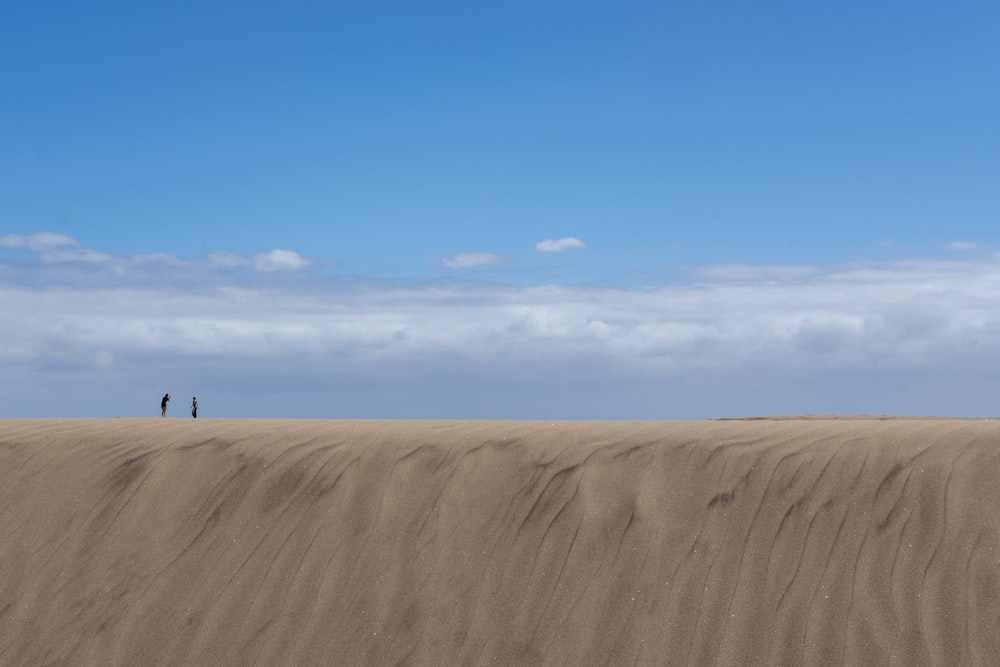 砂丘の上に立っているカップル