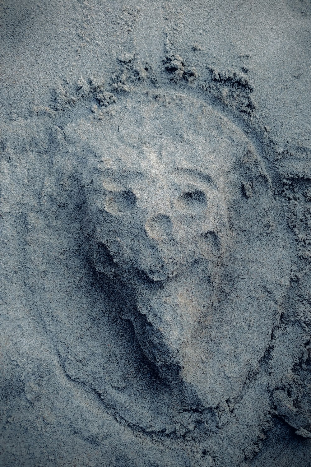a picture of a face in the sand