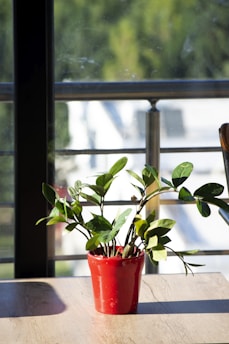 A vibrant artificial green plant sitting on a wooden shelf by a sunny window.
