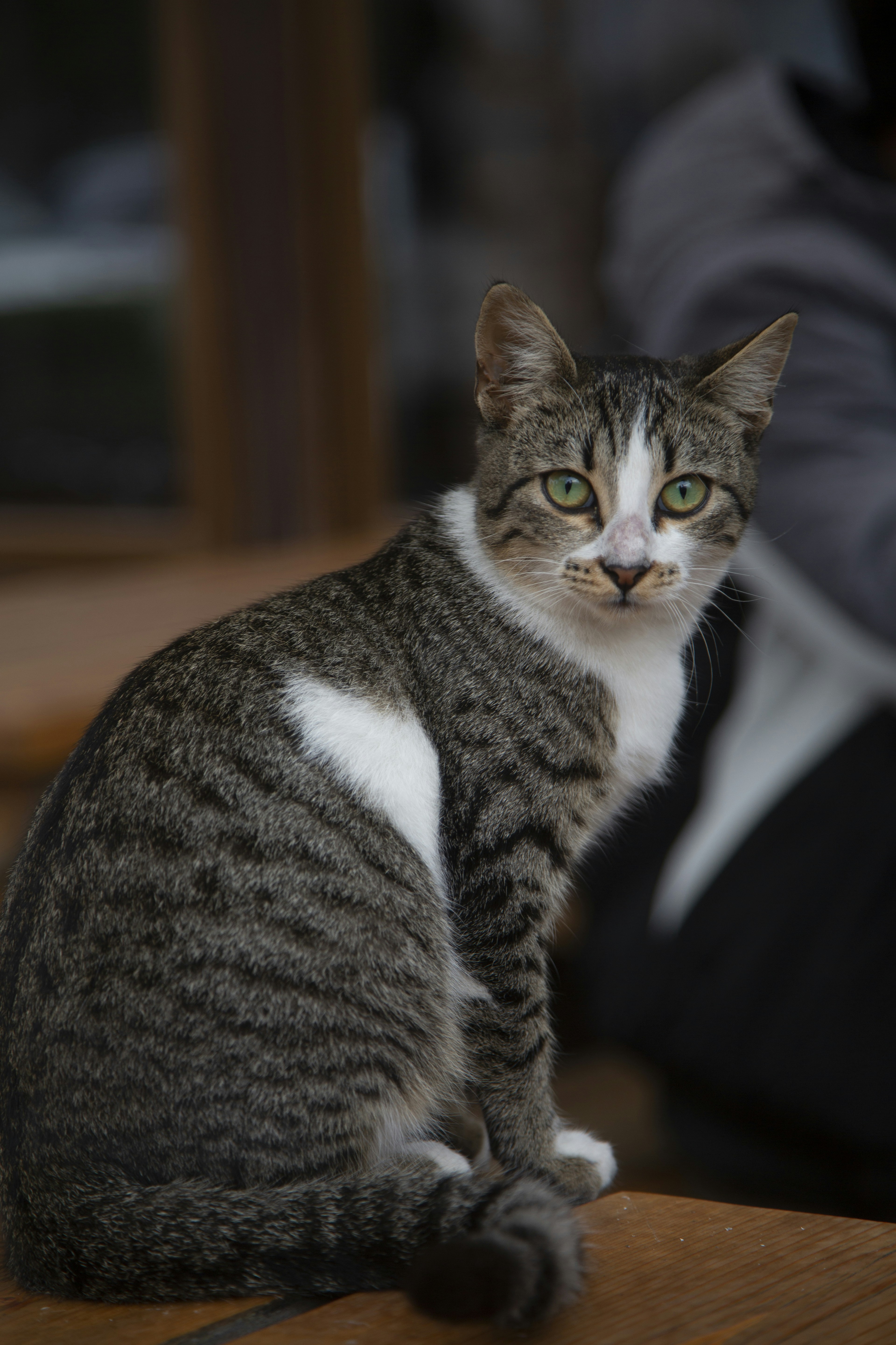 Photo by bansahphotography248