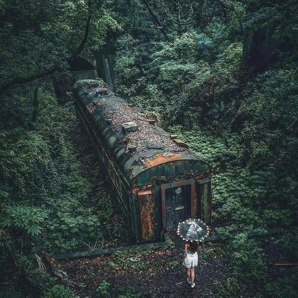 a person with an umbrella standing in front of a train