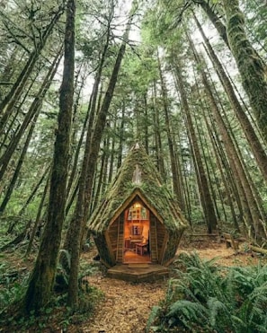 a small cabin in the middle of a forest