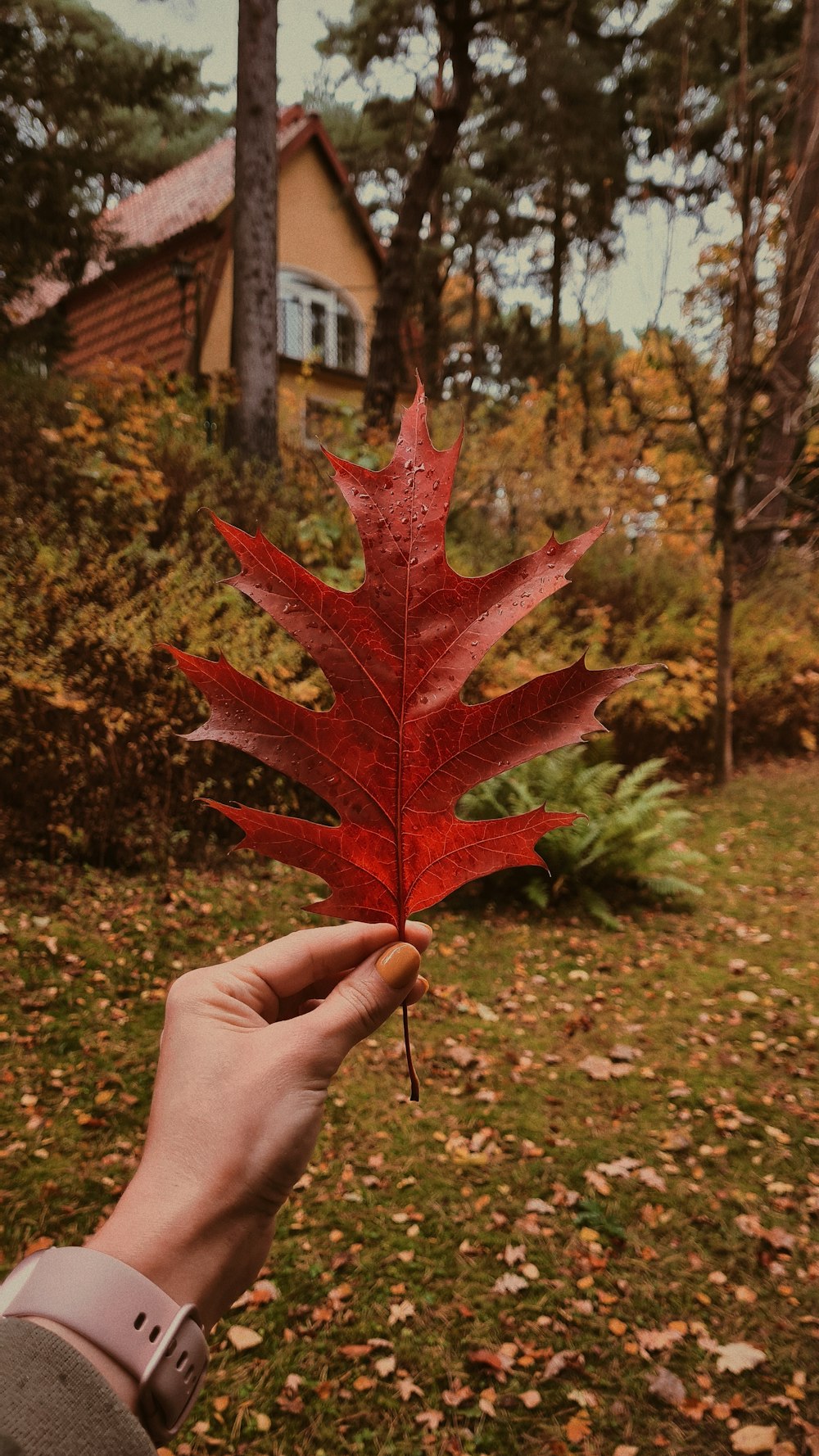 eine Person, die ein rotes Blatt vor einem Haus hält