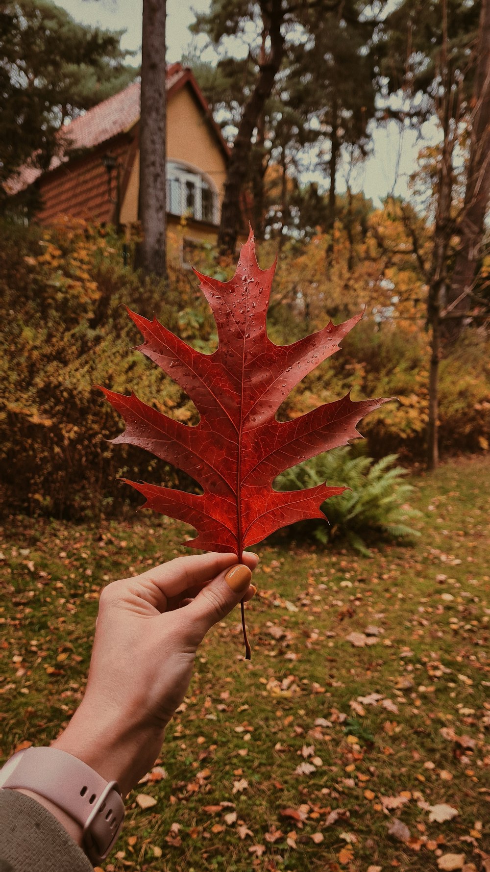 a person holding a red leaf in front of a house