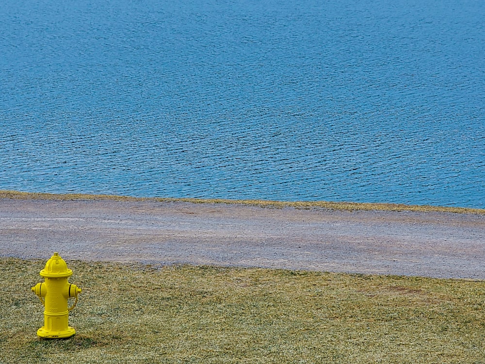 a yellow fire hydrant sitting on top of a grass covered field