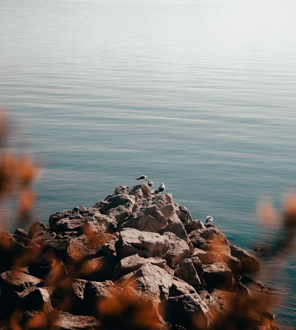 a rock outcropping in the middle of a body of water