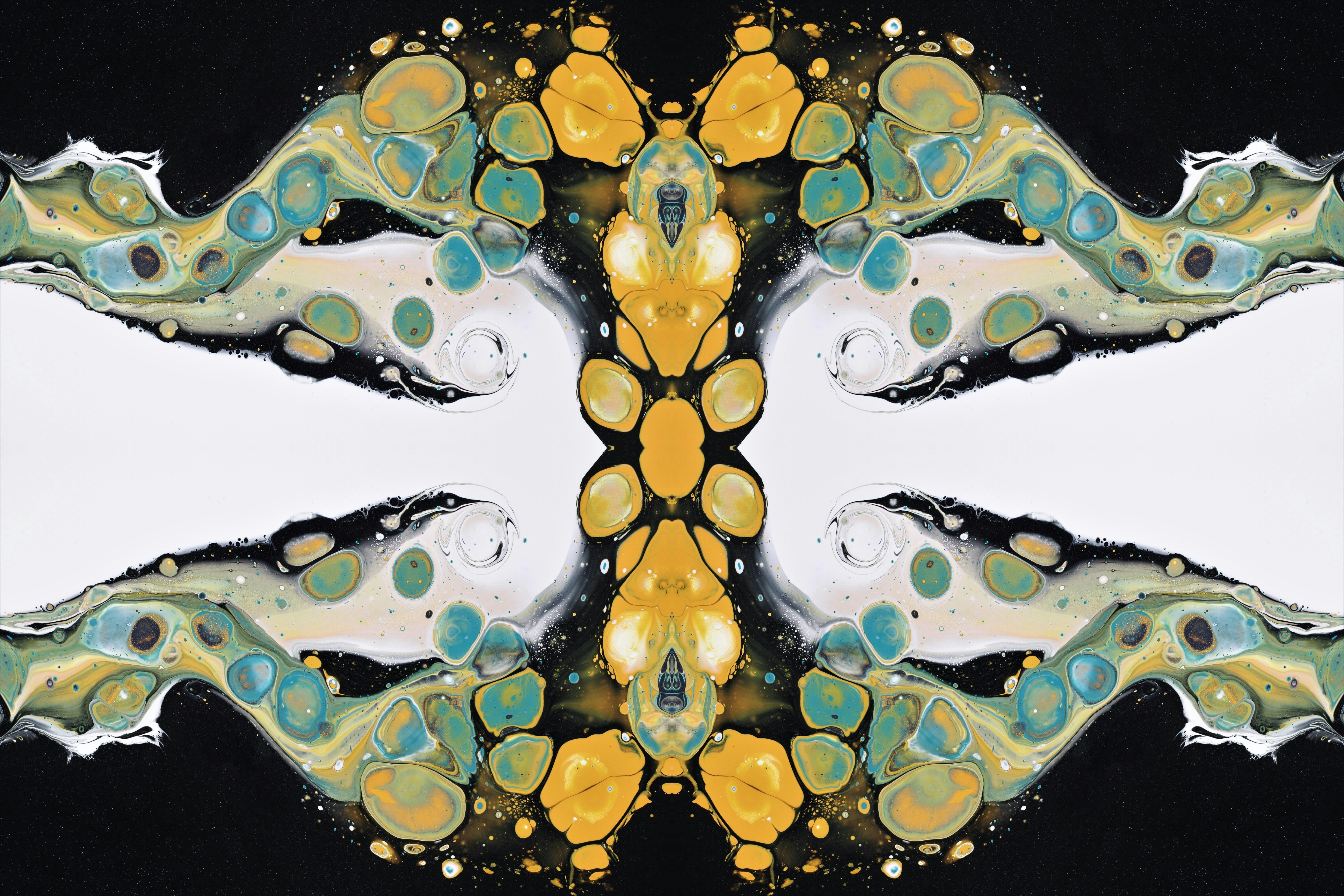 Photo by susan_wilkinson