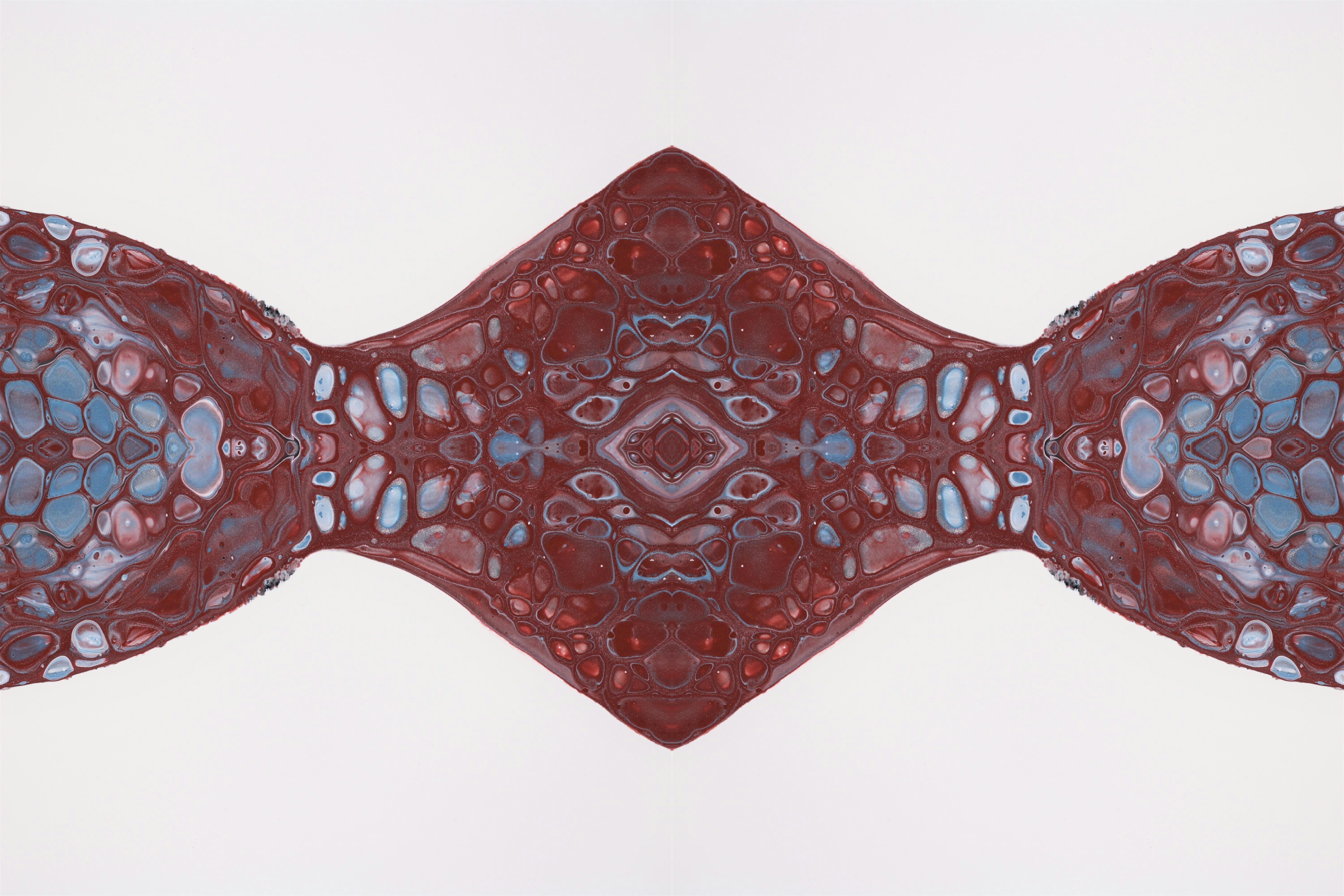 Photo by susan_wilkinson